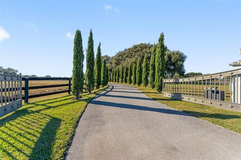 Tiny photo for 11408 N Magnolia Avenue, Ocala, FL 34475 (MLS # OM713584)