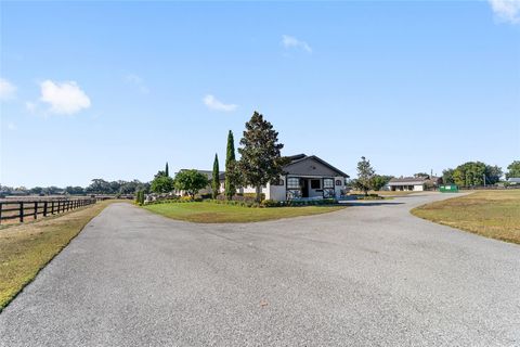 Tiny photo for 11408 N Magnolia Avenue, Ocala, FL 34475 (MLS # OM713584)