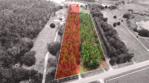 Photo of 19751 County Road 33, Groveland, FL 34736 (MLS # G5117196)