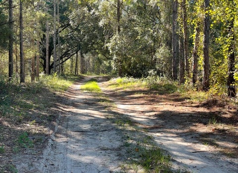 Tiny photo for 19751 County Road 33, Groveland, FL 34736 (MLS # G5117196)