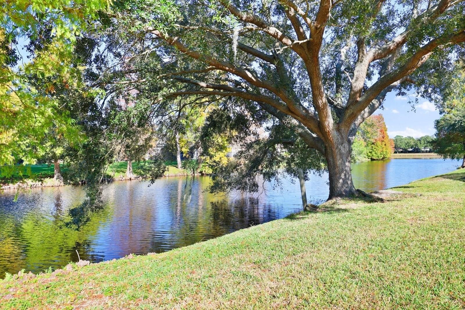 WESTCHASE SECTIONS 373 & 411 - Residential