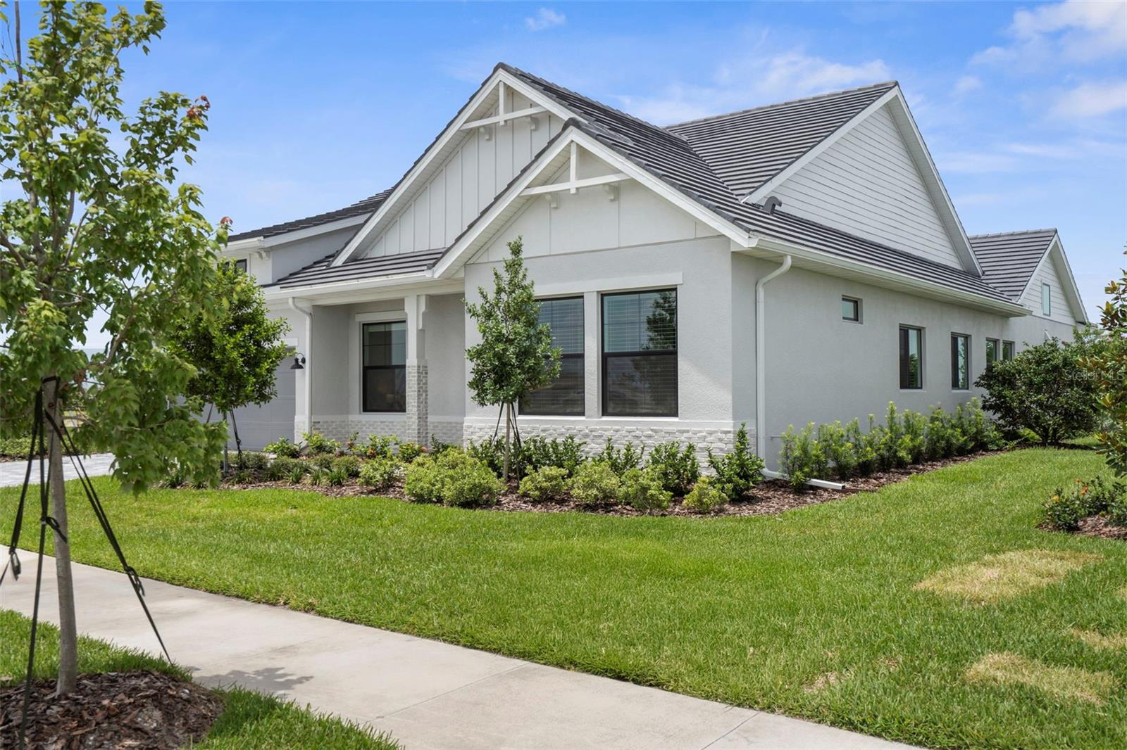 18136 FOXTAIL LOOP