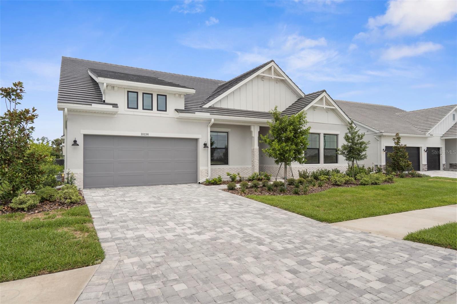 18136 FOXTAIL LOOP