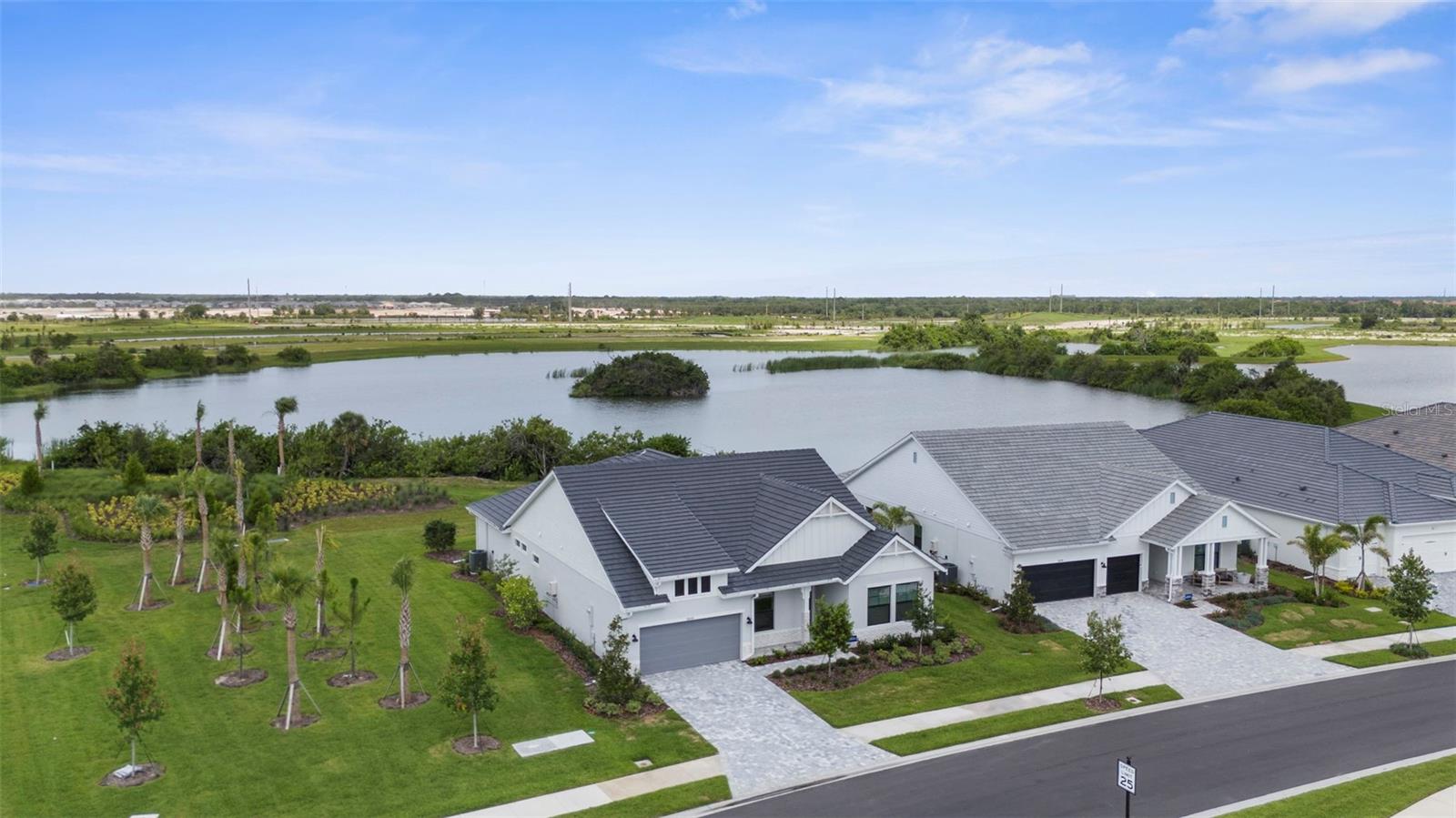 18136 FOXTAIL LOOP