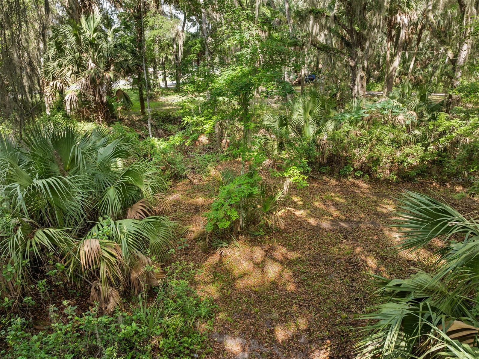 TBD SE WACAHOOTA ROAD