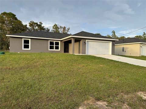 A home in BELLEVIEW