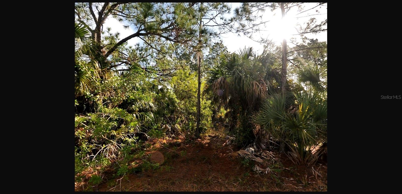 PORT CHARLOTTE SUB 23 - Land