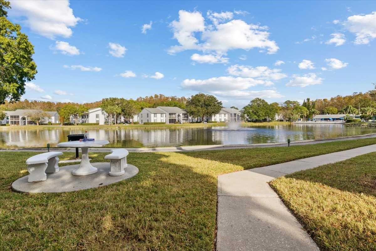 PINE RIDGE AT LAKE TARPON VILLAGE - Residential