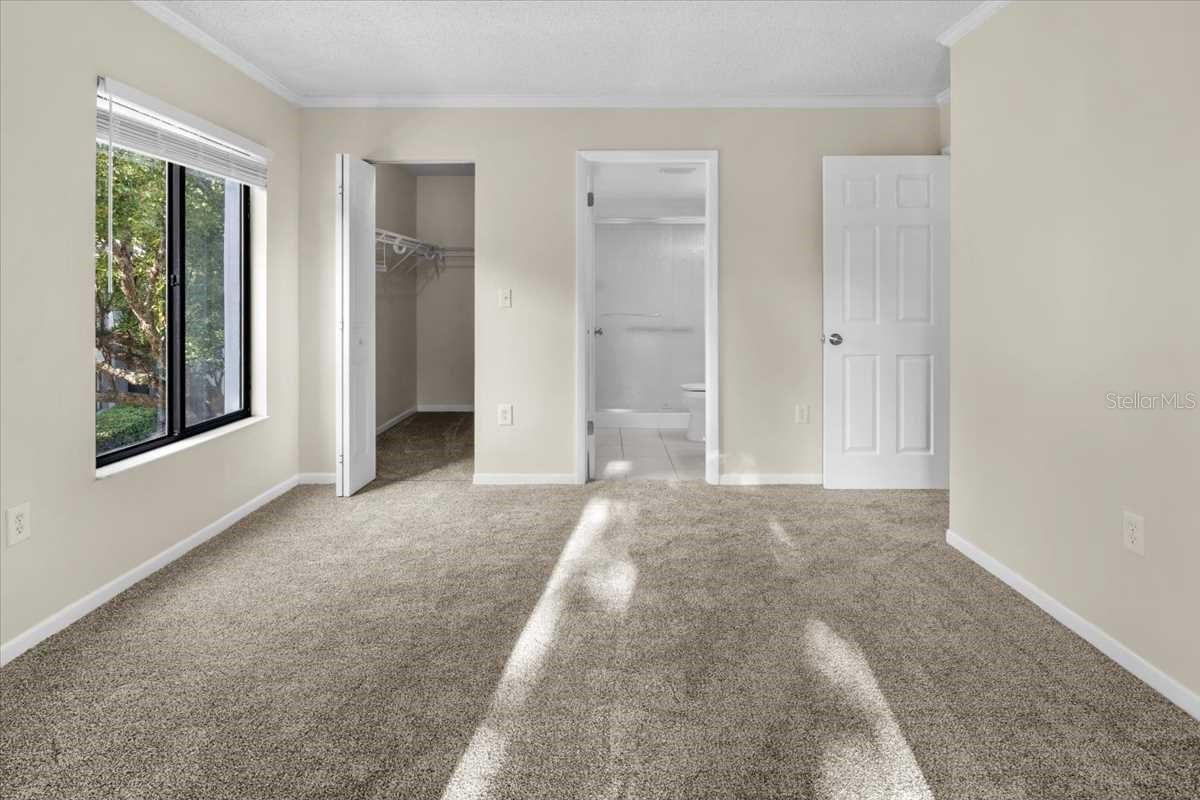 PINE RIDGE AT LAKE TARPON VILLAGE - Residential