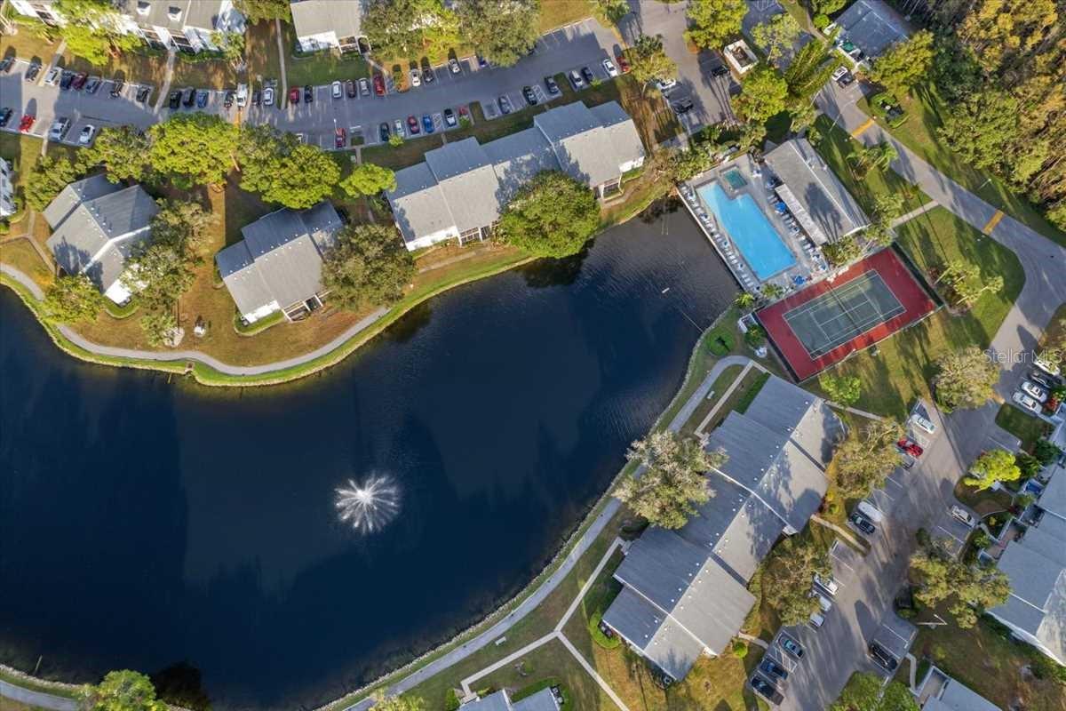 PINE RIDGE AT LAKE TARPON VILLAGE - Residential