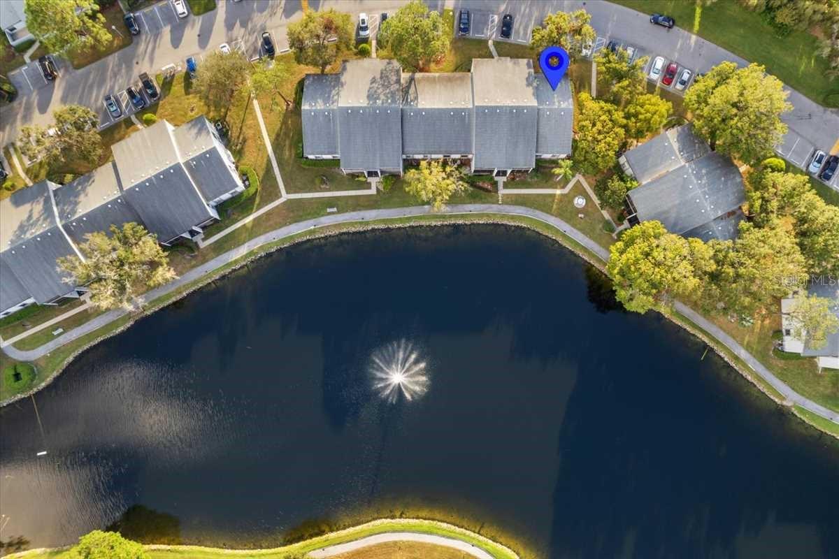 PINE RIDGE AT LAKE TARPON VILLAGE - Residential