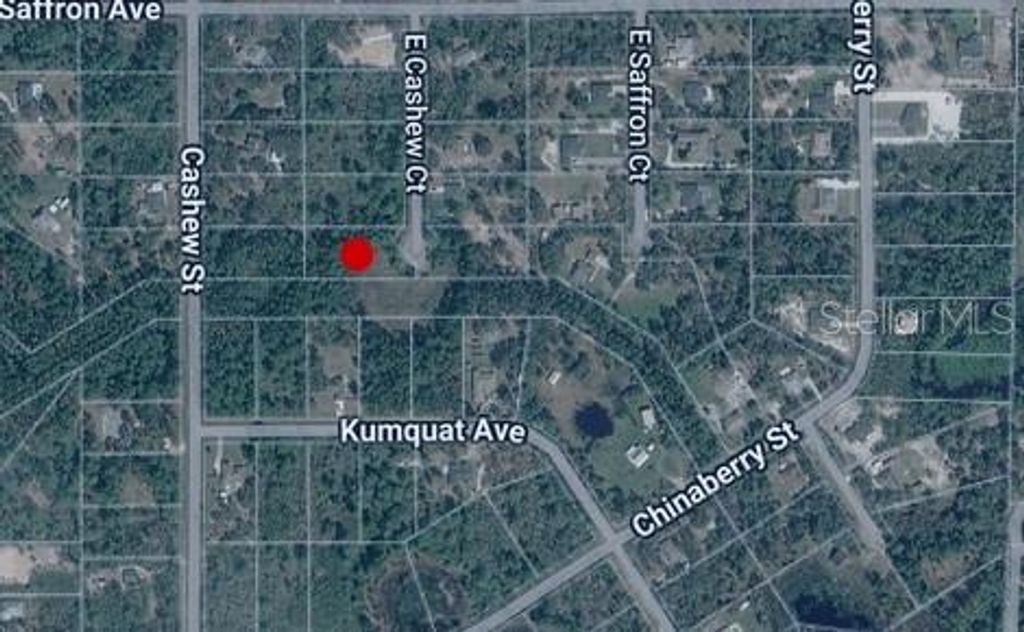 Photo of E Cashew Court, Eustis, FL 32736 (MLS # C7524801)