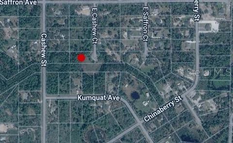 Photo of E Cashew Court, Eustis, FL 32736 (MLS # C7524801)