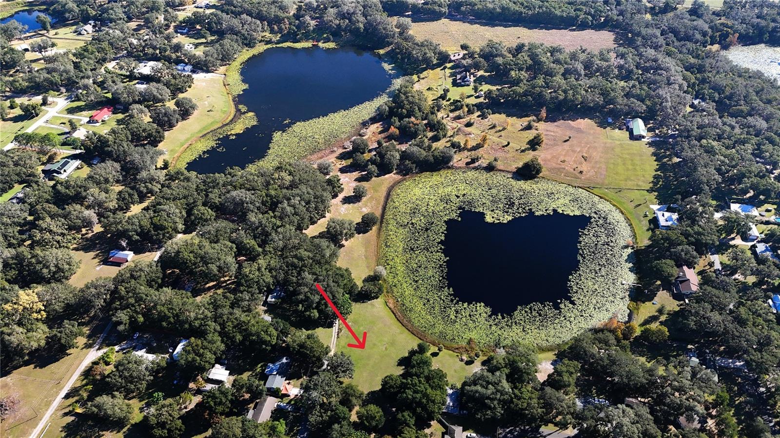 LADY LAKE VAUGHNS ADD - Land