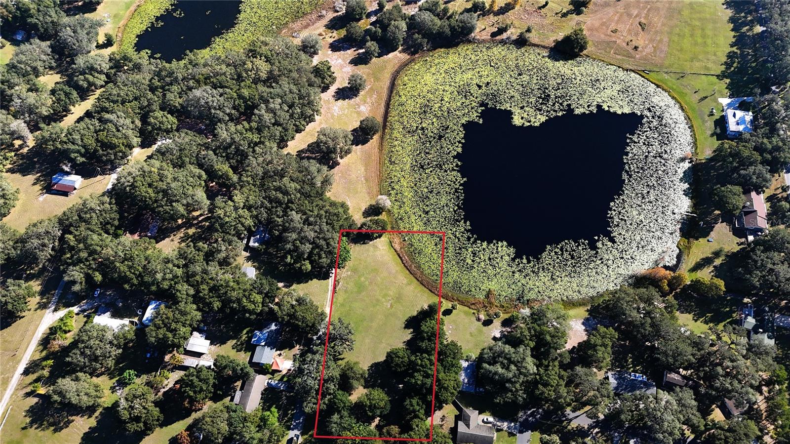 LADY LAKE VAUGHNS ADD - Land