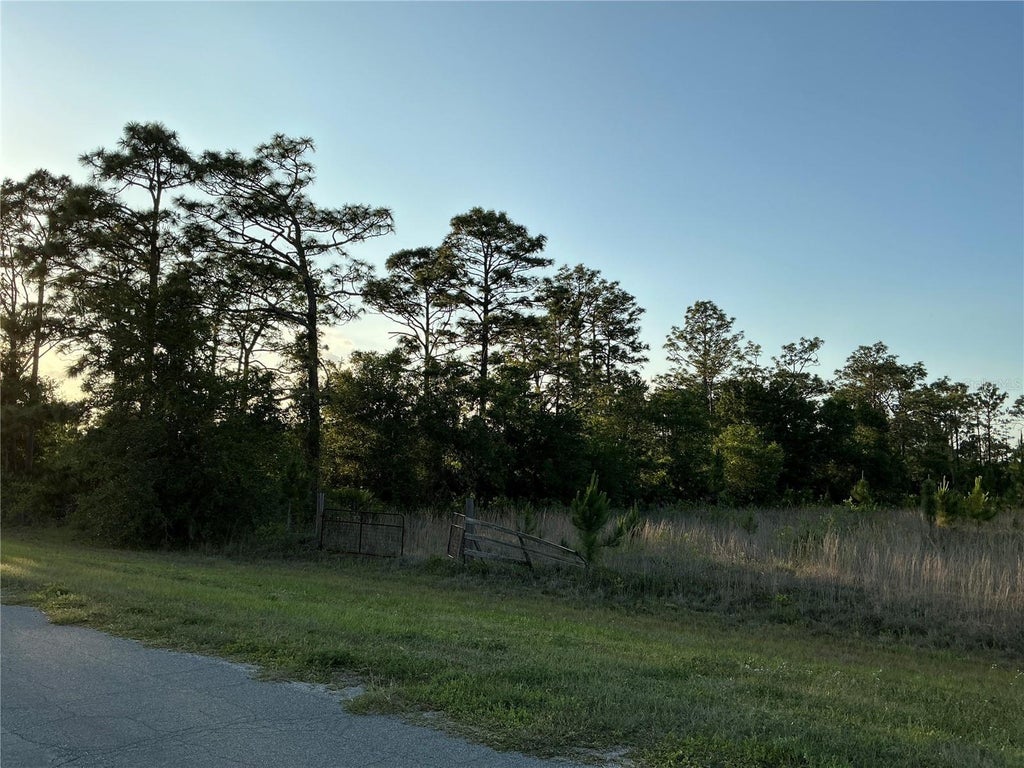 Photo of Reynolds Parkway, Orlando, FL 32833 (MLS # OM732366)