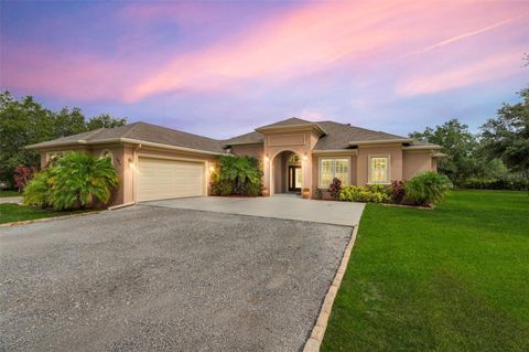 Photo of 3979 Mammoth Grove Road, Lake Wales, FL 33898 (MLS # TB8384793)