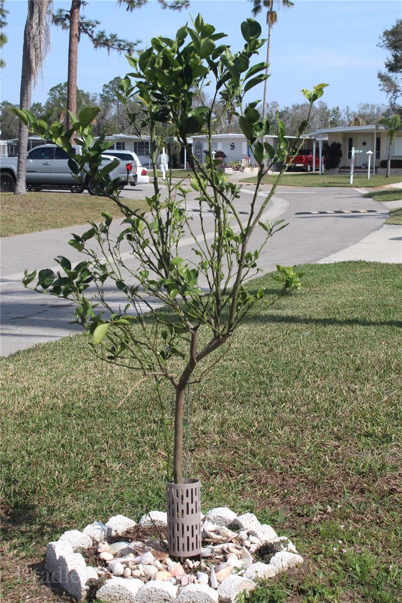 COUNTRY RETREAT CO-OP - Residential