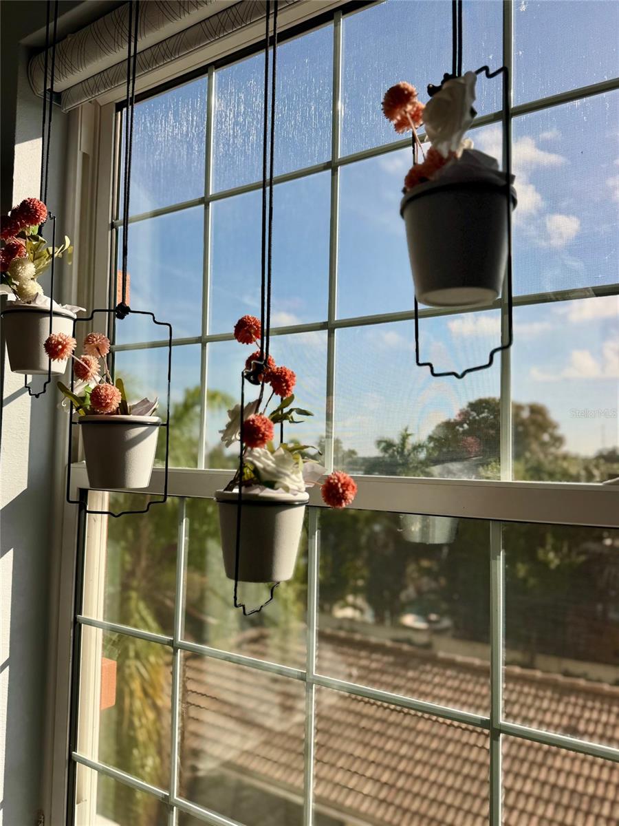 MONTEREY AT LAKE SEMINOLE CONDO - Residential