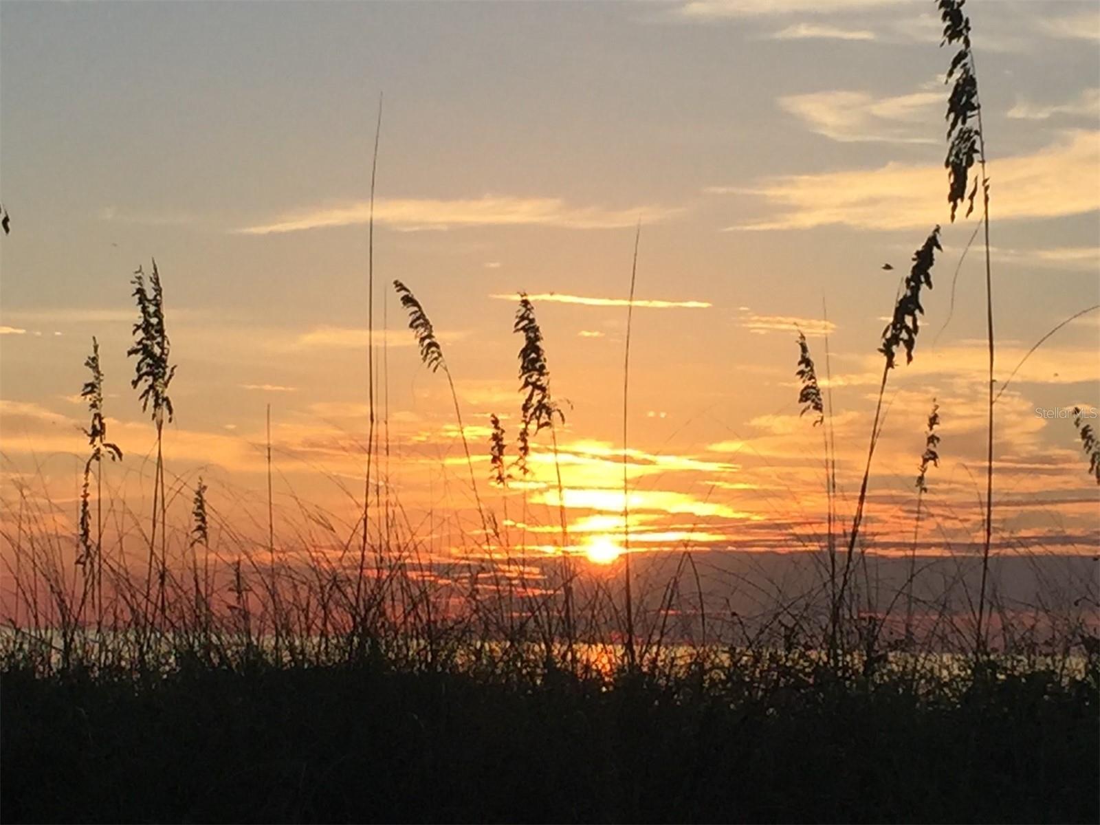 MONTEREY AT LAKE SEMINOLE CONDO - Residential