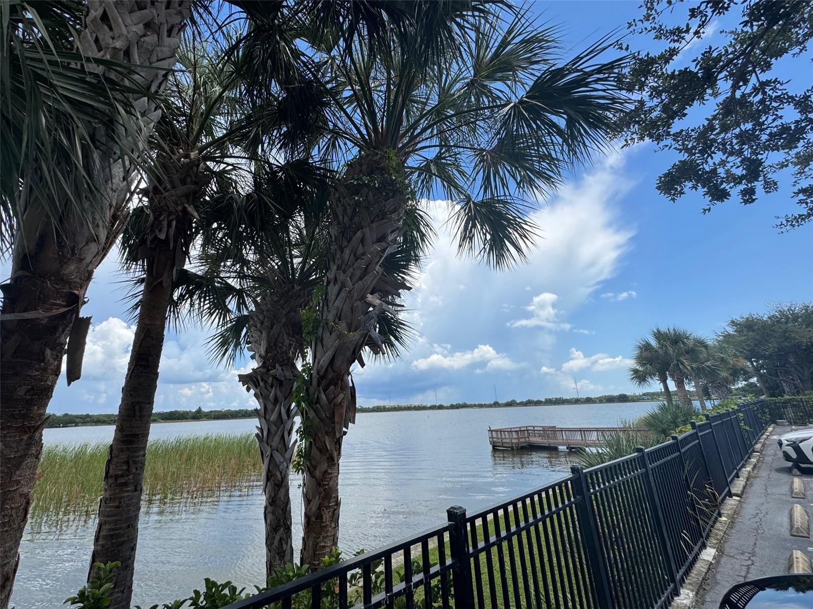 MONTEREY AT LAKE SEMINOLE CONDO - Residential