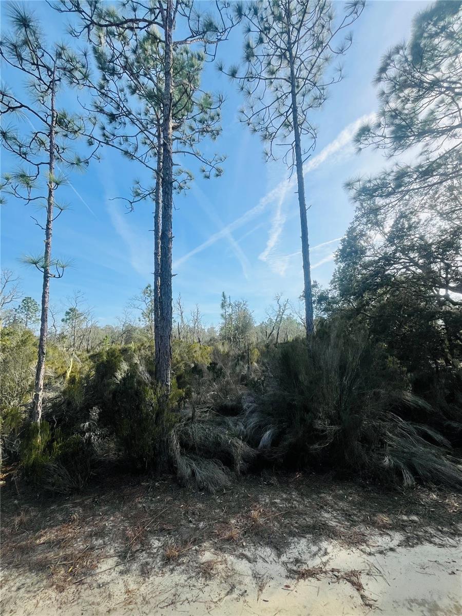 NOT IN SUBDIVISION - Land