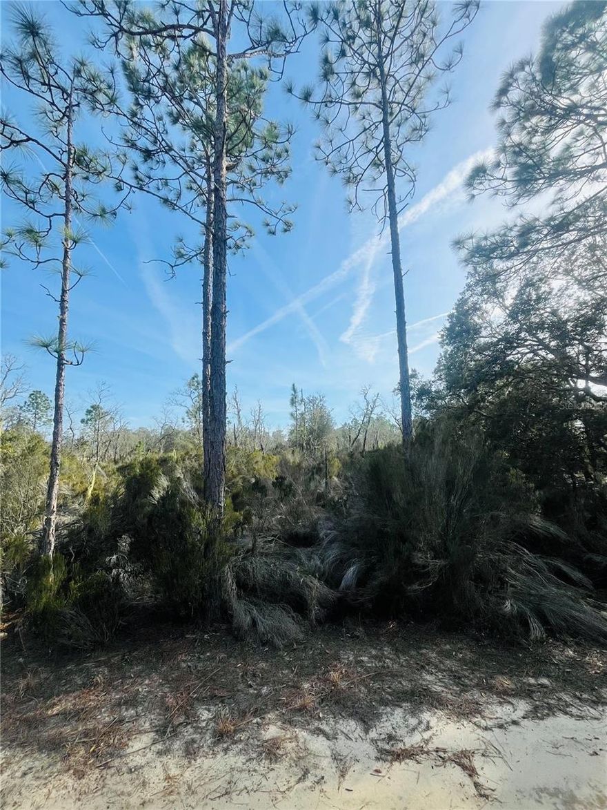 Own a beautiful 1.25-acre wooded retreat in the heart of Bronson where you can enjoy the peace of the countryside paired with the financial benefit of Levy County’s lower property taxes. Tucked away down a private sugar sand road, this heavily treed property offers a secluded Old Florida atmosphere while remaining just a short 10-minute drive from the everyday conveniences of Williston. The surrounding neighborhood is well-maintained and quiet, featuring a unique arbor farm and newer homes that reflect a clear pride of ownership throughout the area. With its Agriculture-Rural Residential zoning, this pristine, uncleared parcel serves as a versatile blank canvas where you can keep the native timber for ultimate privacy or clear the perfect space for your future. Whether you intend to build a custom site-built home, bring in a brand-new manufactured residence, or establish a small hobby farm, the lot provides ample space for a large workshop, garden, or secure storage for your RV and boat. This location is ideal for those who value a slower pace of life without feeling isolated, offering an affordable path to homeownership in a community that feels miles away from the stress of the city. Experience the fresh air and tranquility of this hidden gem, where you have the freedom to design a lifestyle that truly fits your needs among the pines and oaks. Don’t wait to claim your slice of the quiet life—drive by today and envision your new beginning on this beautiful acreage before it’s gone!