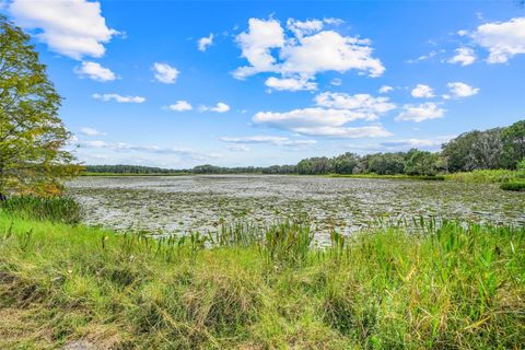 Tiny photo for 1440 Selman Road, Leesburg, FL 34748 (MLS # G5102097)