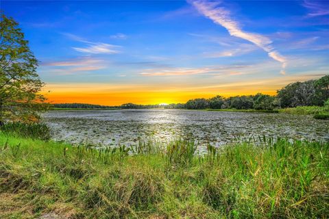 Tiny photo for 1440 Selman Road, Leesburg, FL 34748 (MLS # G5102097)