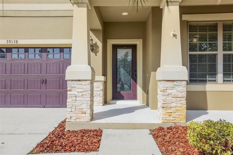 A home in MOUNT DORA