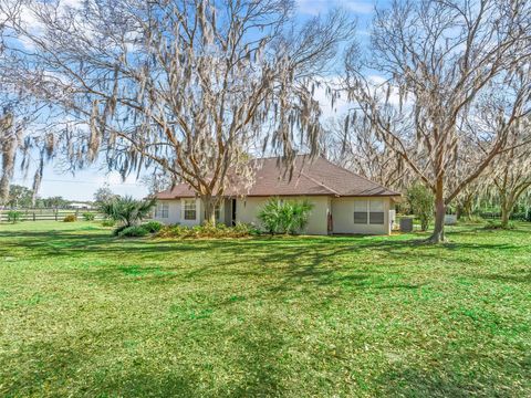 Tiny photo for 7368 NW 14th Street, Ocala, FL 34482 (MLS # OM719749)