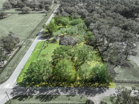 Tiny photo for 7368 NW 14th Street, Ocala, FL 34482 (MLS # OM719749)