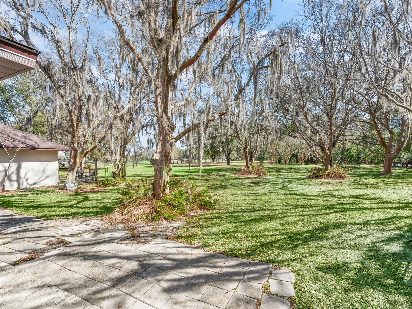 FINISH LINE - Residential