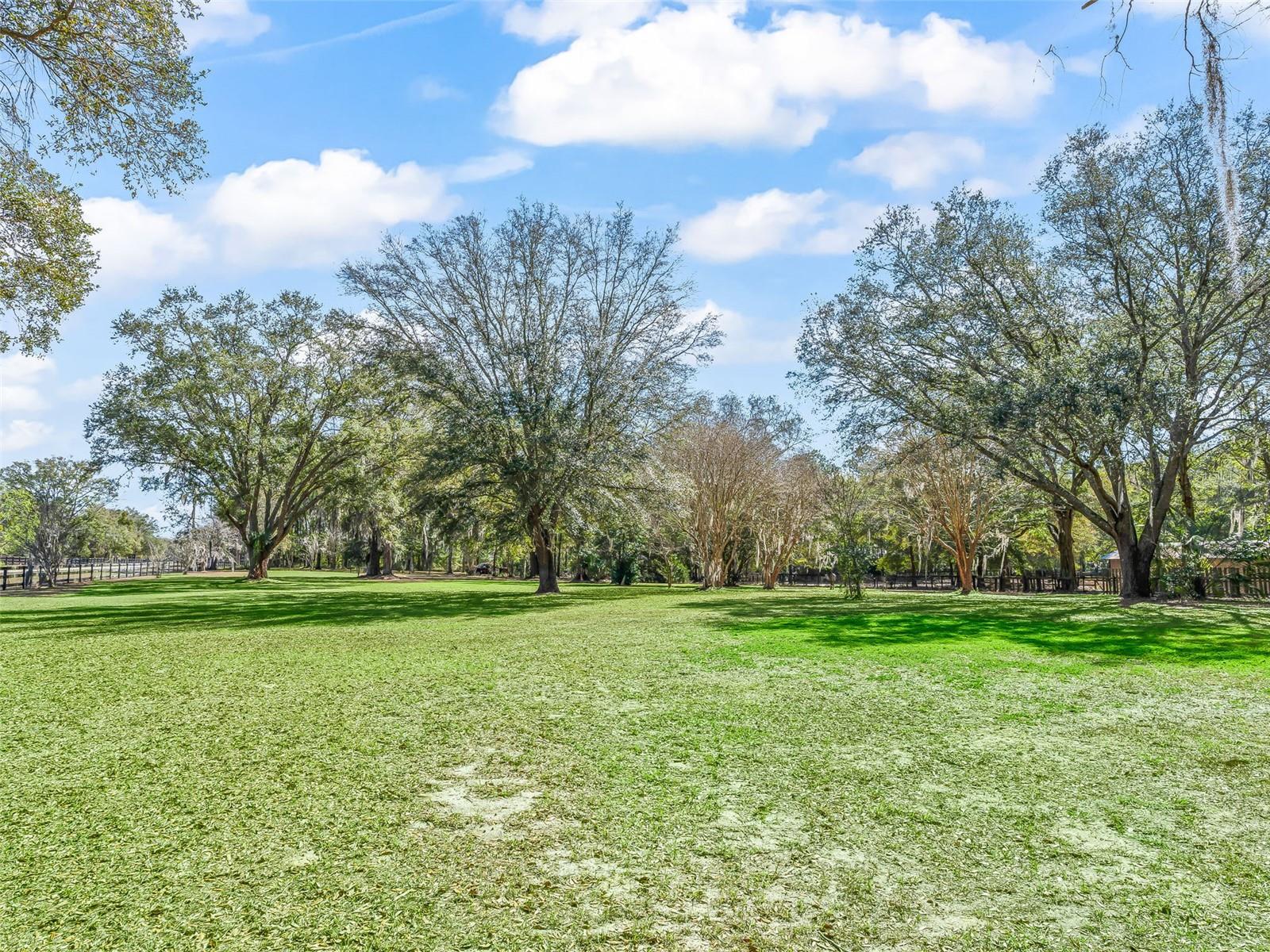 FINISH LINE - Residential