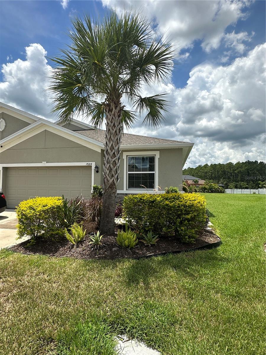 Step into The Siesta, a stylish one-story home designed for comfort and entertaining! The open layout features tile in main areas, plush carpet in bedrooms, and a gourmet kitchen with granite counters, large island, pantry, and stainless appliances all included. Enjoy seamless indoor/outdoor living with a covered lanai, perfect for relaxing or dining. The private owner’s suite offers a spacious walk-in closet and dual vanity, while two additional bedrooms provide flexibility for guests, family, or a home office. A washer and dryer are also included for convenience. Live the lifestyle you deserve with resort-style amenities: clubhouse, pool, fitness center, tennis, basketball, and playground—all just steps from your door! Applicants must have a 580 or better credit score, no active bankrupcy proceedings and no evictions.