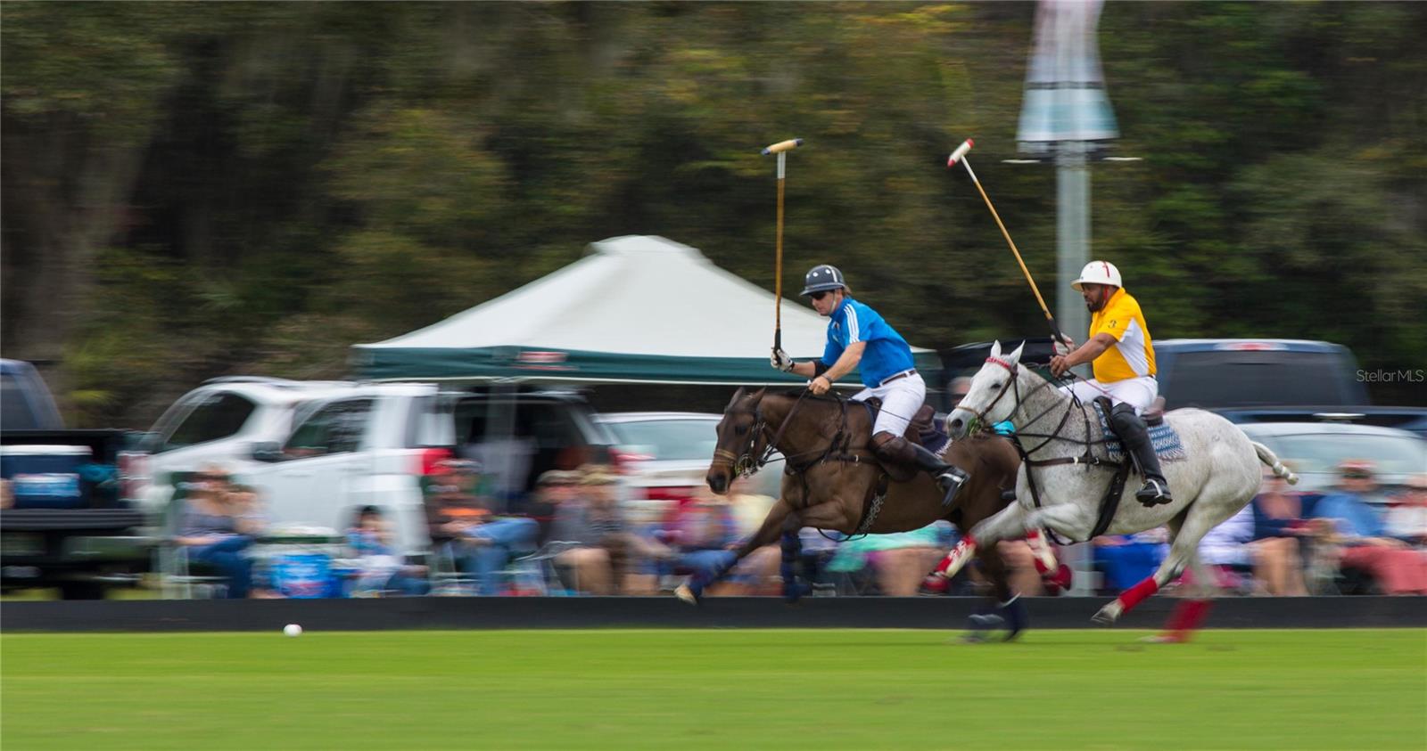 COUNTRY CLUB EAST AT LAKEWOOD RANCH - Residential