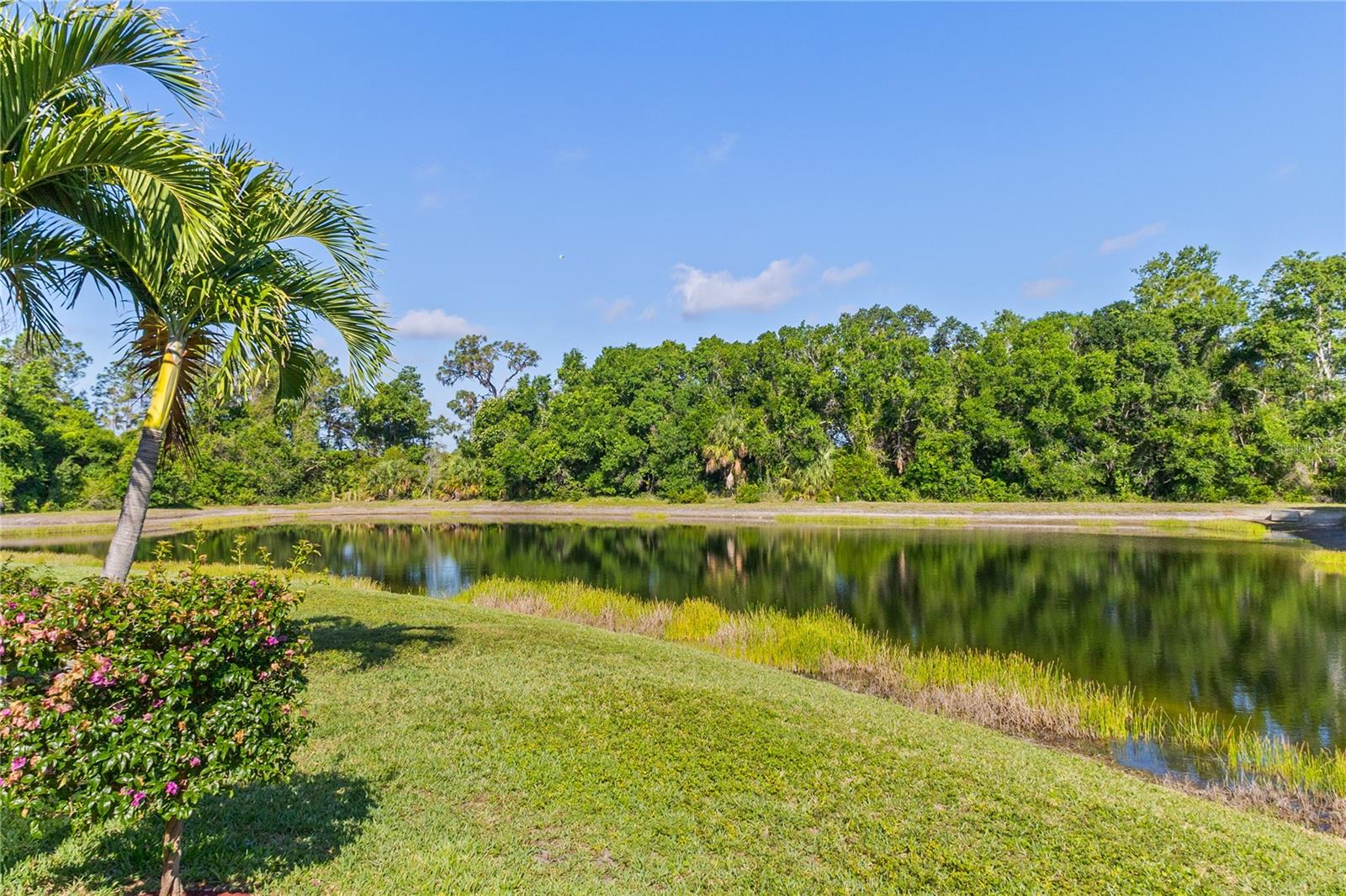 RIVERWALK VILLAGE - Residential