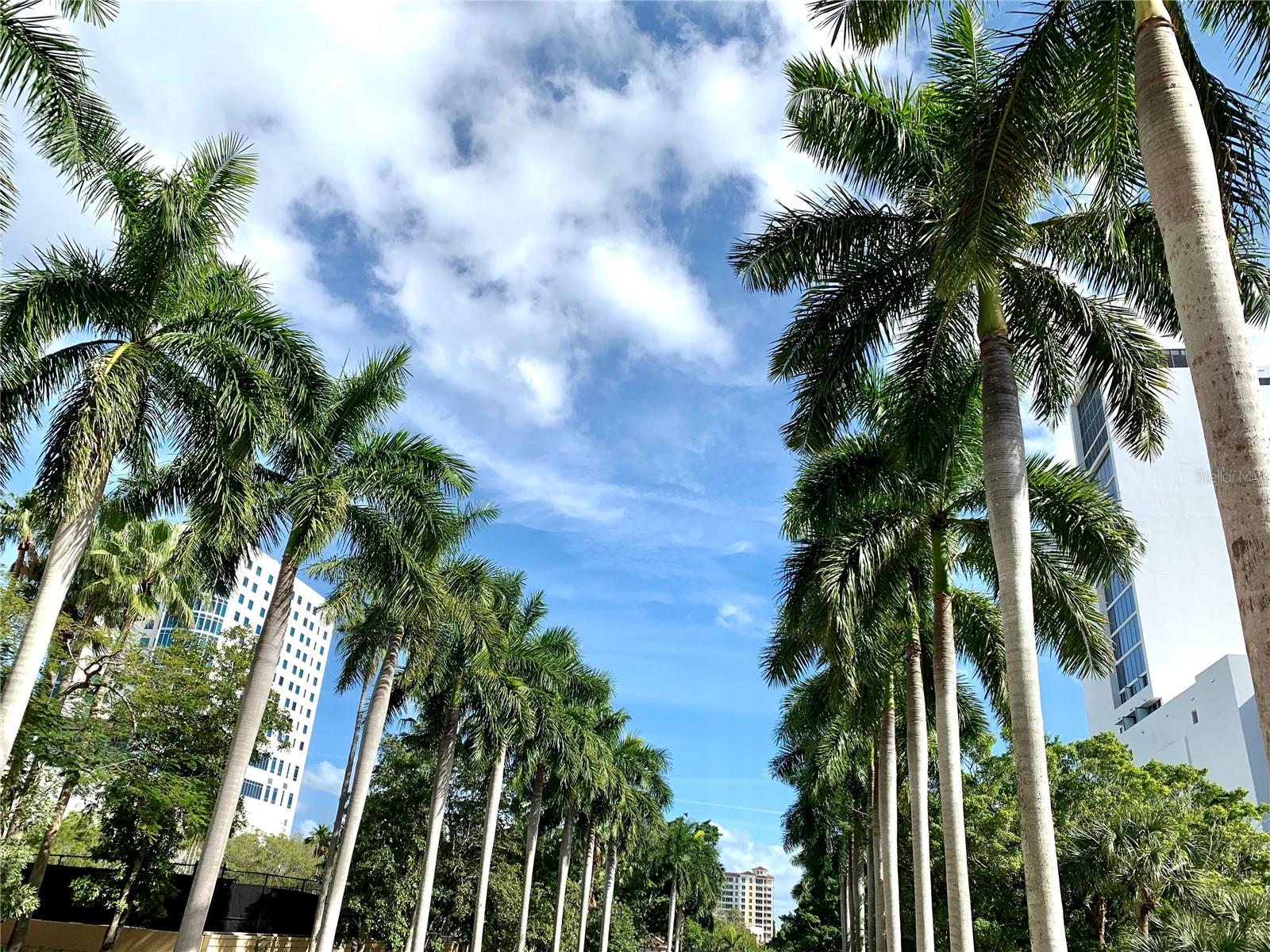 VILLAGEWALK - Residential