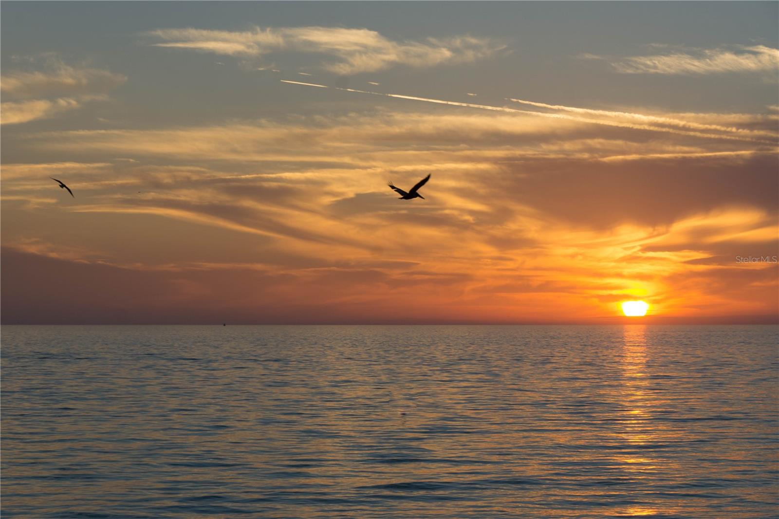 VILLAGEWALK - Residential