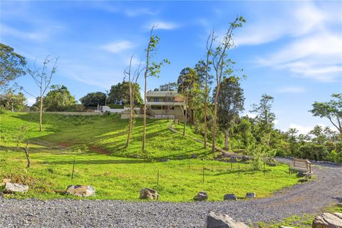 RD15 KM20.6 BO. QUEBRADA ARRIBA CAYEY  00736