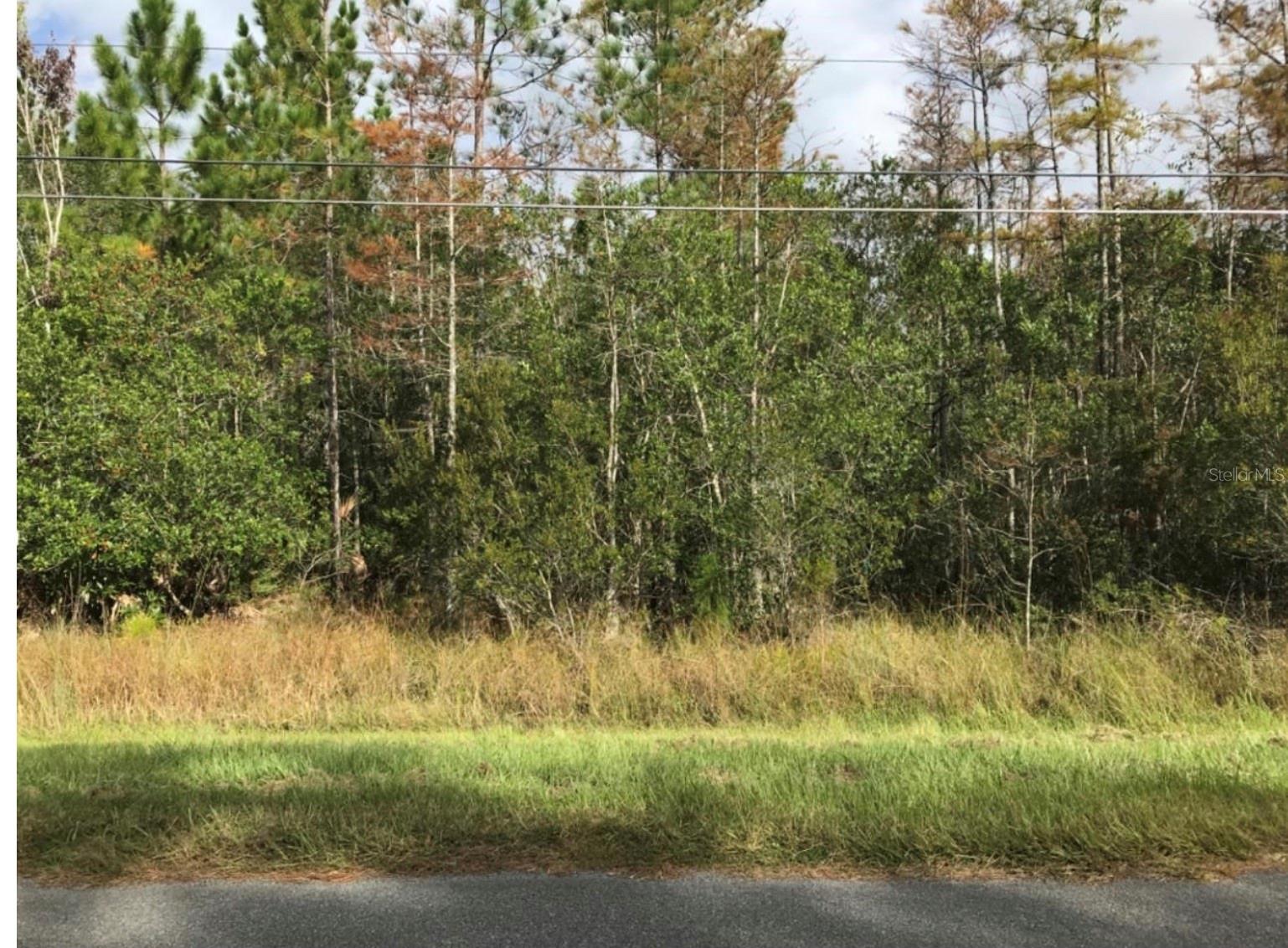 Build your dream home on this exceptional vacant lot in Wedgefield Cape Orlando Estates, one of East Orlando’s most sought-after communities! This expansive lot offers the perfect blend of privacy and natural beauty, nestled among custom-built homes and surrounded by serene Florida landscape. Enjoy the peace and space of country living with convenient access to major highways, the Orlando International Airport, Lake Nona Medical City, UCF, and the Space Coast beaches. Whether you’re looking to build now or invest for the future; this is an outstanding opportunity in a rapidly growing area. Don’t miss your chance to own a piece of paradise in Wedgefield!