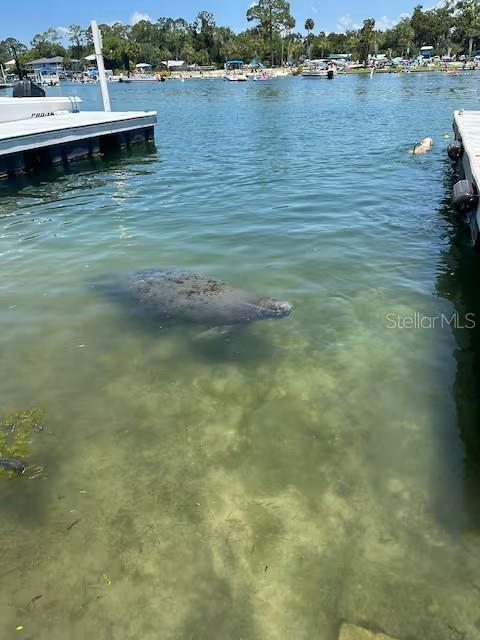 MAGNOLIA LODGE ESTATES CONDO - Residential