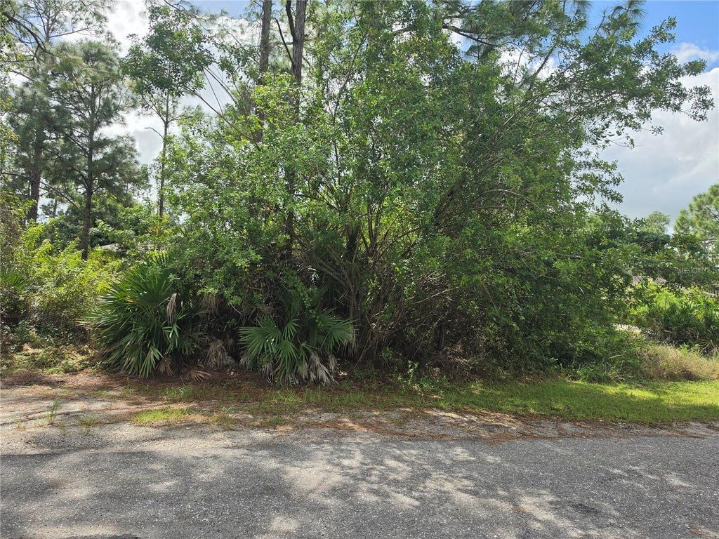 Photo of 902 E 15th Street, Lehigh Acres, FL 33972 (MLS # TB8560263)