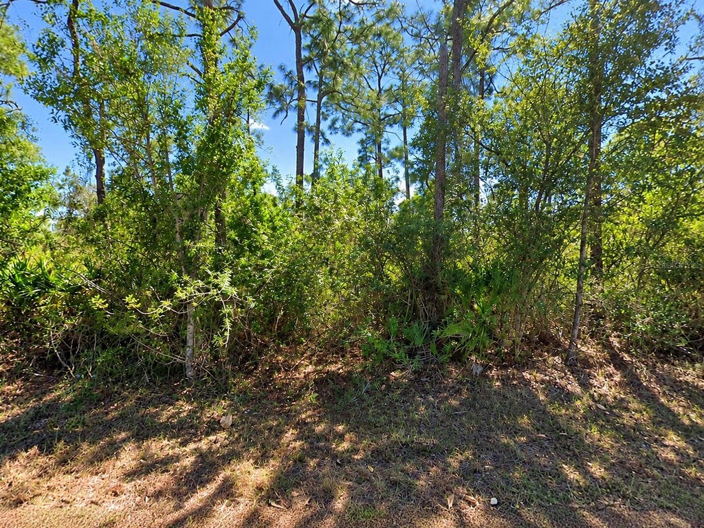 Photo of 902 E 15th Street, Lehigh Acres, FL 33972 (MLS # TB8560263)