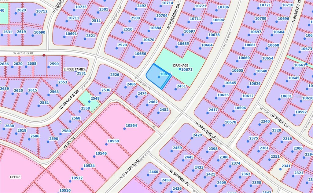 Photo of 10655 N Dragonis Drive, Citrus Springs, FL 34434 (MLS # OM709292)