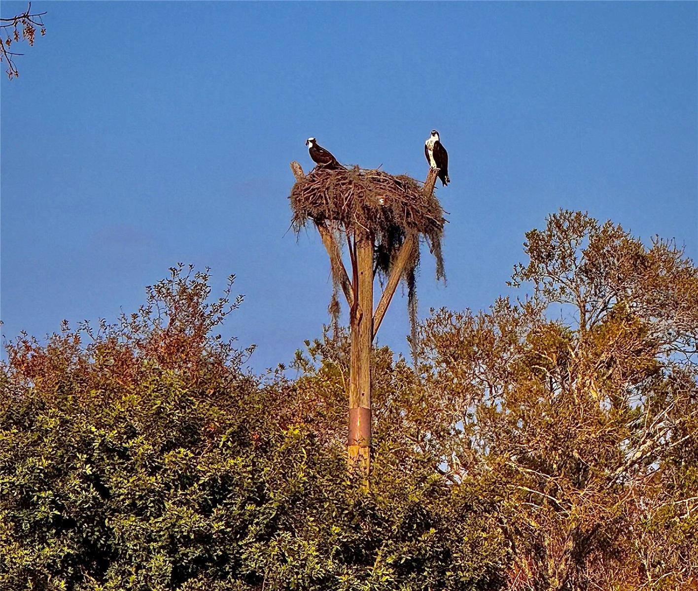 HIGHLAND LAKES UNIT TWENTY EIGHT - Residential