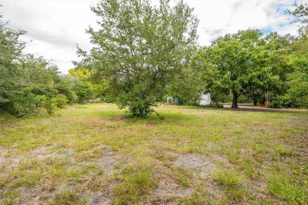 Photo of 19231 Causeway Boulevard, Land O Lakes, FL 34638 (MLS # TB8434516)