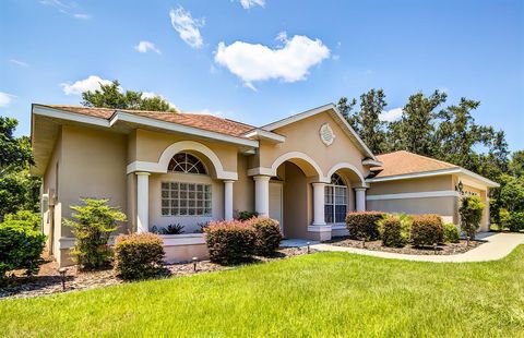 A home in HOMOSASSA