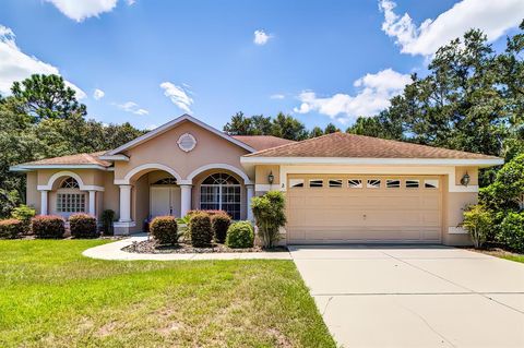 A home in HOMOSASSA