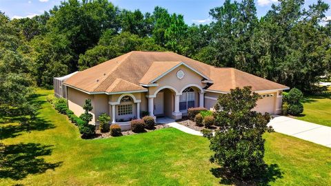 A home in HOMOSASSA